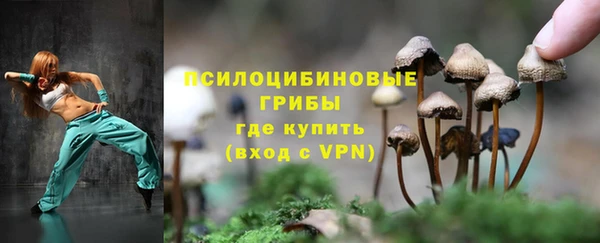эйфоретик Михайловск