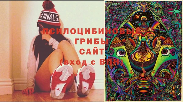 МДМА Михайловка