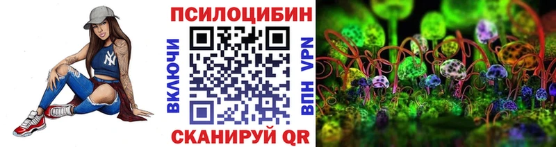 Купить  Спас-Клепики  Галлюциногенные грибы Psilocybine cubensis 