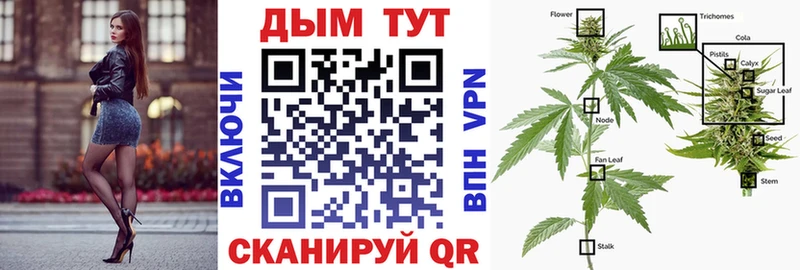 Бошки марихуана Bruce Banner  Купить закладки  Спас-Клепики 